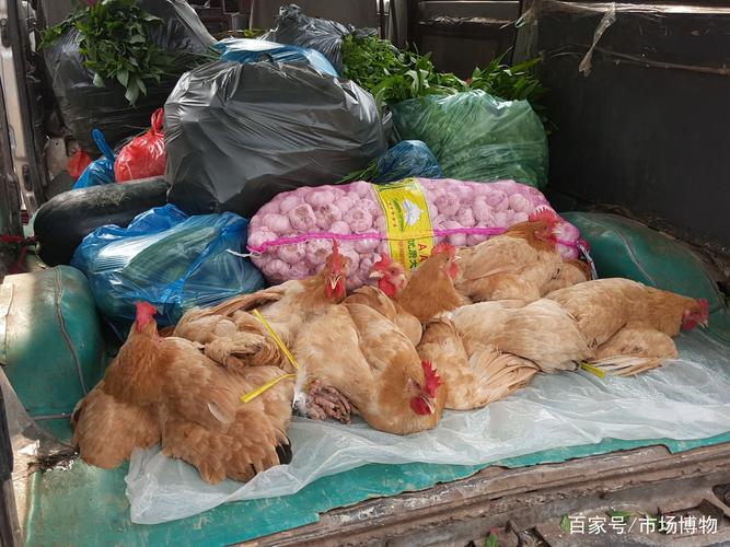 广州餐饮采购指南