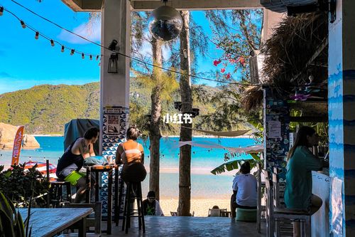 三亚后海村餐饮公司经营指南