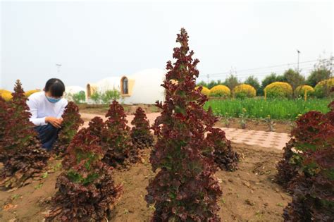 滦南县城好吃的饭店排行榜