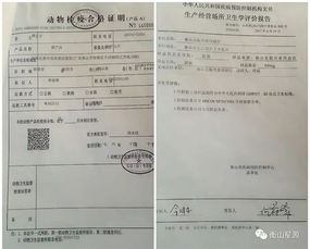 餐饮后厨检查表