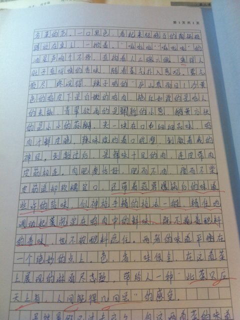 美食节作文500字以上