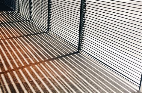 乌镇美食有哪些