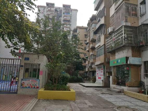 河南尚雅餐饮郑福坤怎么样