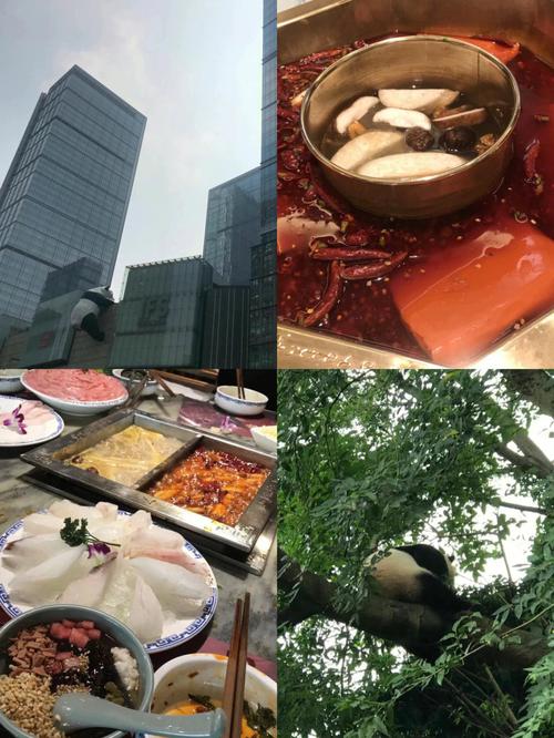 成都ifs有什么好玩的地方