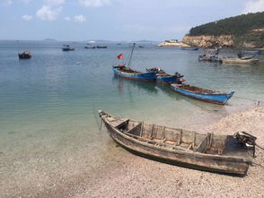 金沙滩附近美食攻略