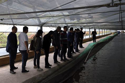 南昌九龙湖夜宵