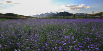 狼牙山特色美食