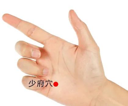 商场和餐饮怎样驱鼠毒