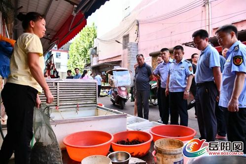 开展餐饮行业专项整治