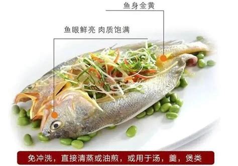 脱脂大黄鱼蒸多久