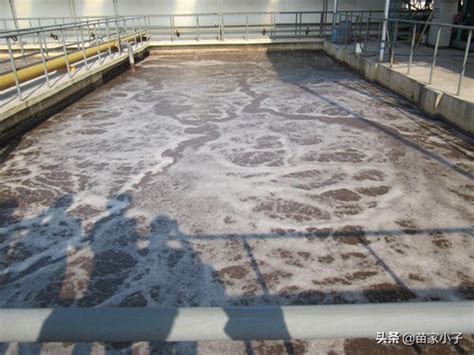 莆田餐饮管理有限公司