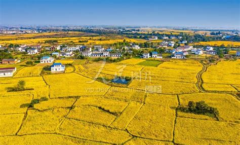 肥东县大强哥餐饮位置图