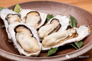 日本广岛在哪里