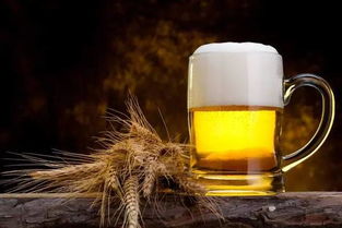 过期啤酒的用途和危害