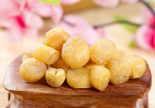 干贝是什么意思