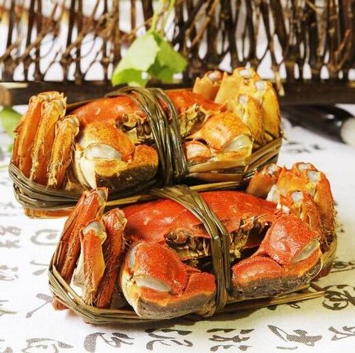 苏州阳澄湖大闸蟹官网