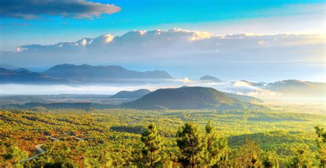 冬瓜炖排骨怎么炖好吃