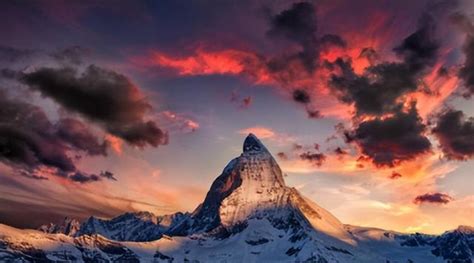 芝士焗红薯的图片