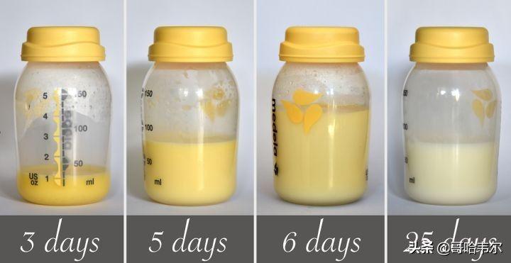 牛初乳怎么吃有效果