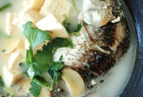 鲫鱼炖豆腐功效与作用