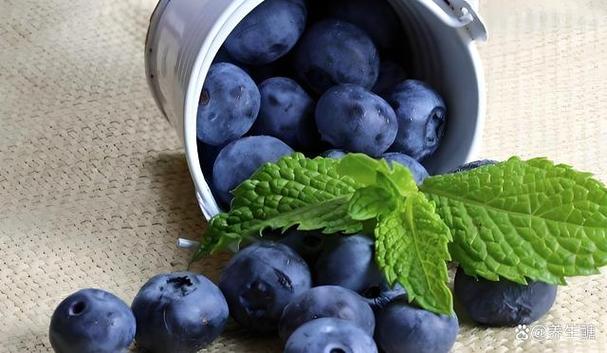 抗氧化食品添加剂