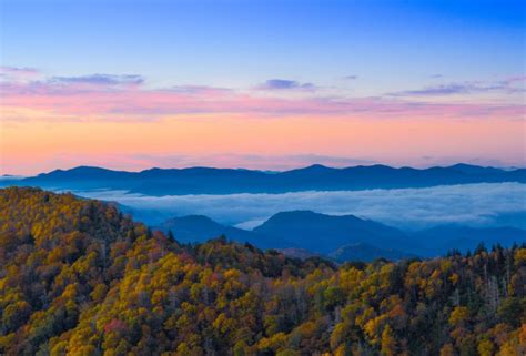 铁皮风斗怎么吃好