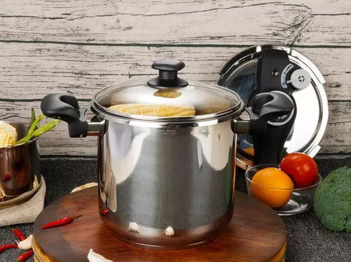 高压力锅哪个品牌最好最安全