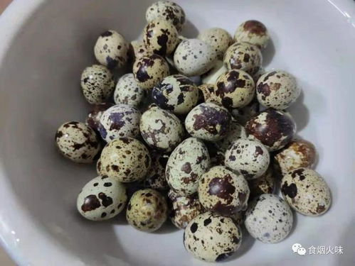 鹌鹑蛋怎么煮好吃放什么调料