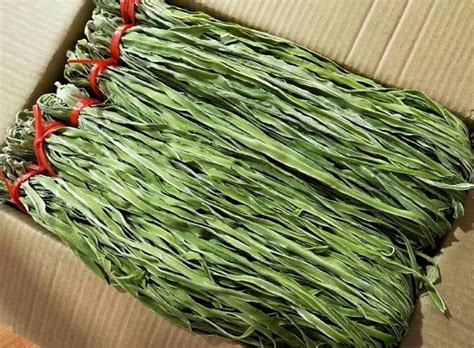 贡菜是一年生本草蚂蚁