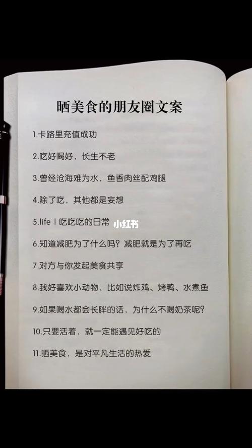 美食新品调试文案范文