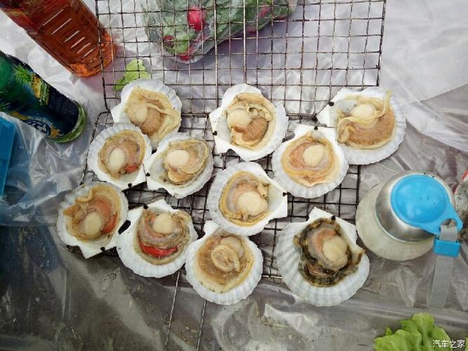 西青郊野公园简介