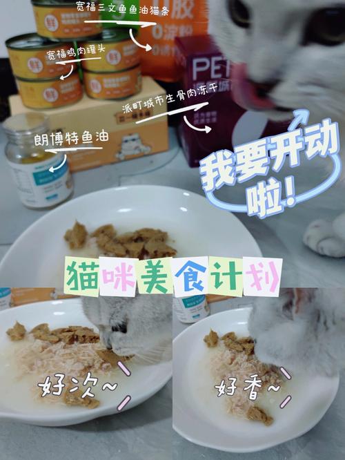 美食计划3丽人的美餐