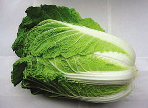 美味白菜