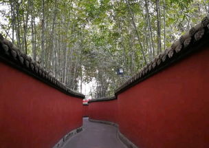 成都美食推荐：高铁站附近