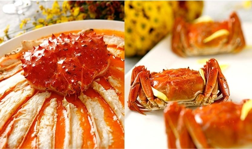 今日印象美食：品尝印度料理的极致享受