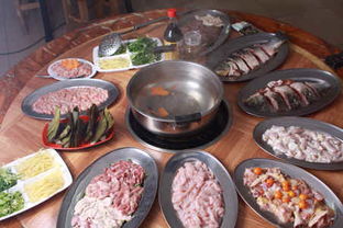 对美食的看法怎么写