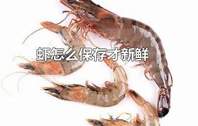 鲜鲜鲜鲜鲜鲜鲜鲜探寻食材新鲜度的极致追求