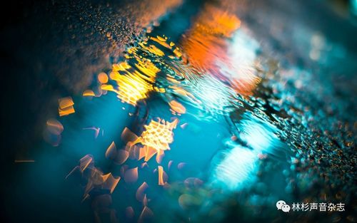 她当初到底是怎么招惹上他的?