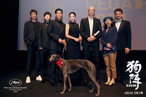 狗阵戛纳荣耀与狗狗金棕榈的温情交响