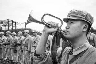 政治言论的界限黑利在以军炮弹上的争议性言论引发国际反响