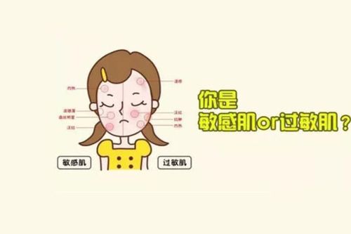 敏感肌的守护神深度解析这款热门防晒的温和力量