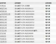 龙光集团龙债展期方案调整市场反应与企业策略分析**

**