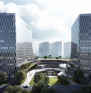 浙数文化公司无回购计划的原因和影响分析