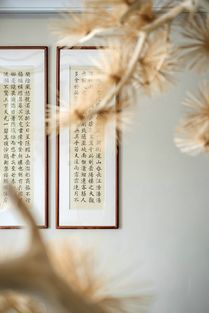 传统文化的魅力