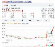 岁宝百货股价异动市场反应与未来展望