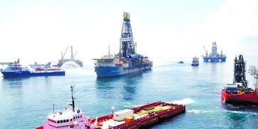 英国新立法建立捕捞蓝鳍金枪鱼许可制度