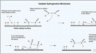 聚烯烃市场前景与现实挑战分析