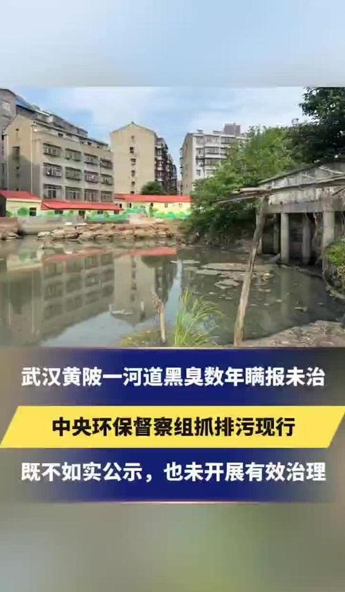 武汉河道黑臭问题导致环保督察组介入