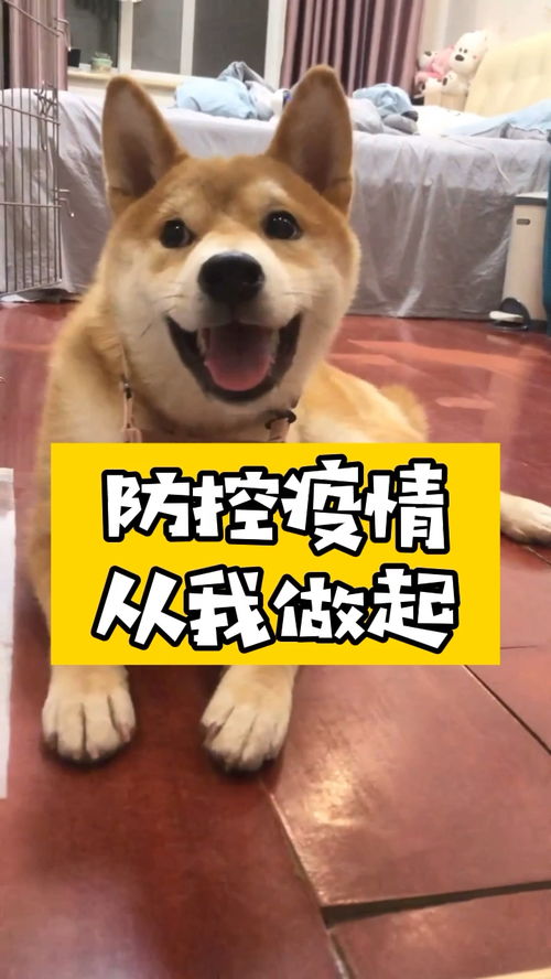 欧洲央行首席经济学家：有信心明年下半年通胀回落至%