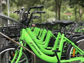 在欧美卖疯之后，大疆也坐不住了